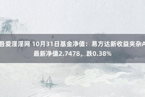吾爱淫淫网 10月31日基金净值：易方达新收益夹杂A最新净值2.7478，跌0.38%
