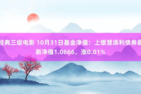 经典三级电影 10月31日基金净值：上银慧添利债券最新净值1.0666，涨0.01%