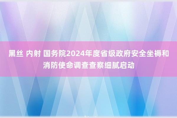 黑丝 内射 国务院2024年度省级政府安全坐褥和消防使命调查查察细腻启动