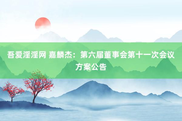 吾爱淫淫网 嘉麟杰：第六届董事会第十一次会议方案公告