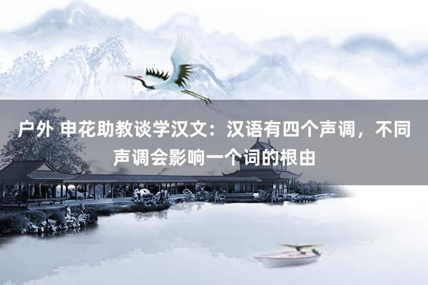 户外 申花助教谈学汉文：汉语有四个声调，不同声调会影响一个词的根由
