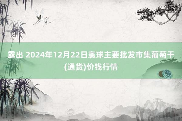 露出 2024年12月22日寰球主要批发市集葡萄干(通货)价钱行情