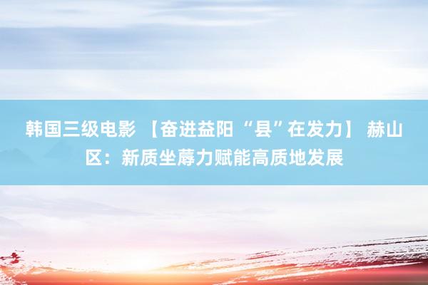 韩国三级电影 【奋进益阳 “县”在发力】 赫山区：新质坐蓐力赋能高质地发展