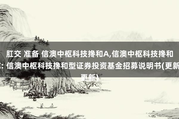 肛交 准备 信澳中枢科技搀和A,信澳中枢科技搀和C: 信澳中枢科技搀和型证券投资基金招募说明书(更新)