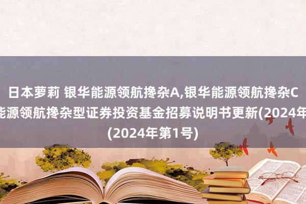 日本萝莉 银华能源领航搀杂A,银华能源领航搀杂C: 银华能源领航搀杂型证券投资基金招募说明书更新(2024年第1号)