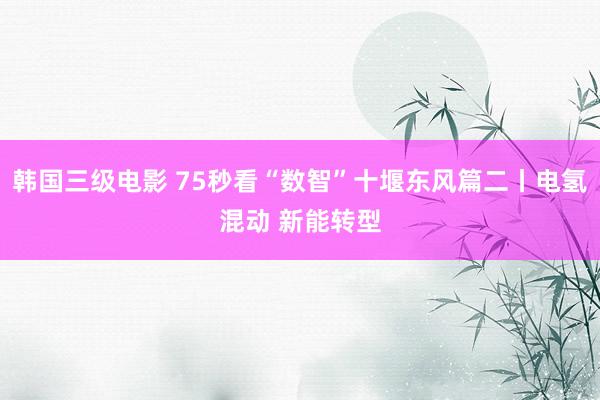韩国三级电影 75秒看“数智”十堰东风篇二丨电氢混动 新能转型