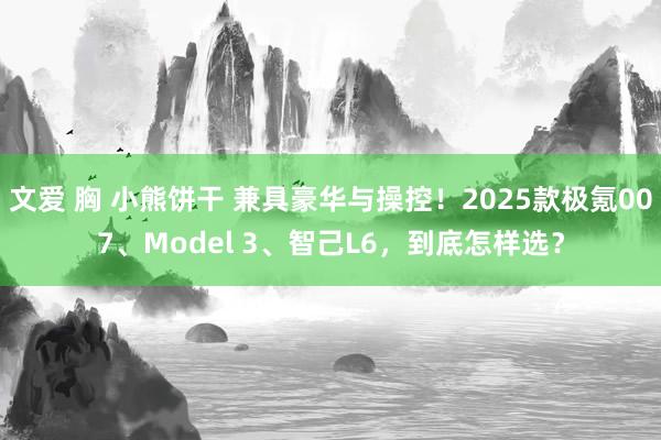 文爱 胸 小熊饼干 兼具豪华与操控！2025款极氪007、Model 3、智己L6，到底怎样选？