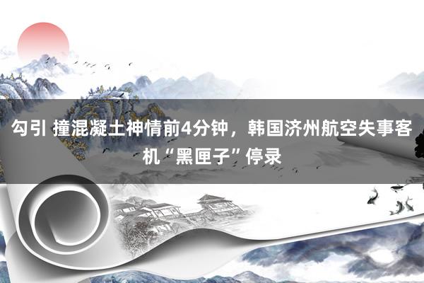 勾引 撞混凝土神情前4分钟，韩国济州航空失事客机“黑匣子”停录