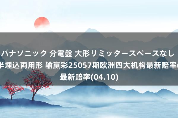 パナソニック 分電盤 大形リミッタースペースなし 露出・半埋込両用形 输赢彩25057期欧洲四大机构最新赔率(04.10)
